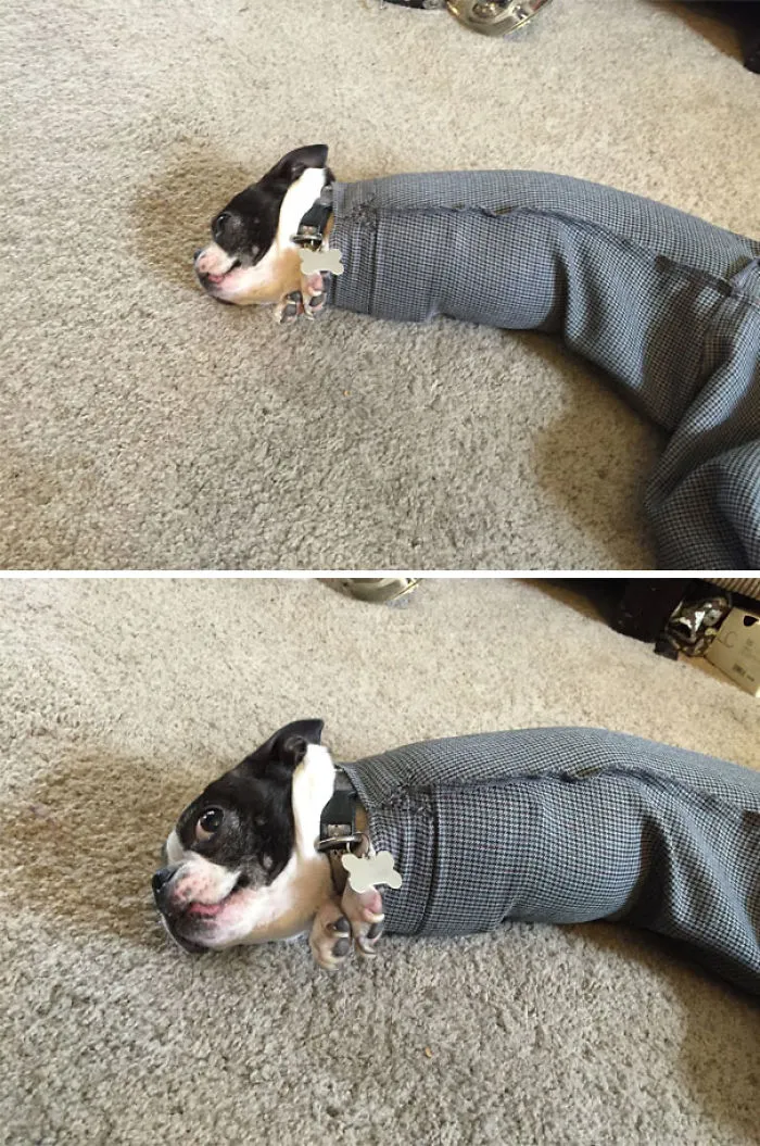 Se ha quedado atascado en el brazo de un abrigo