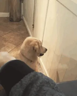 Sugerbooger Isn't The Brightest, But She Makes My Job So Much More Entertaining