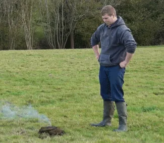 Natural Selection In Action