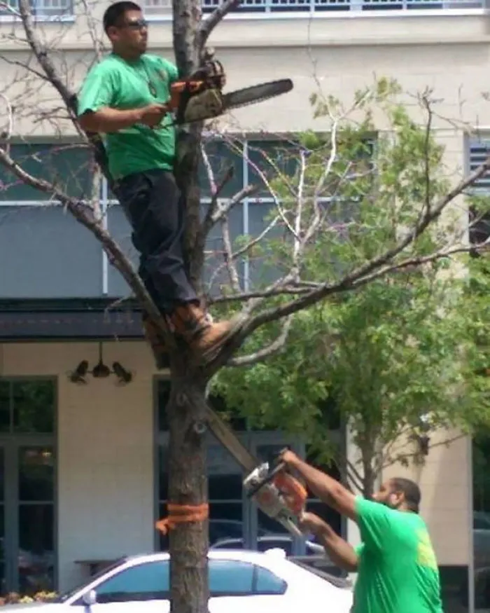 What Could Go Wrong