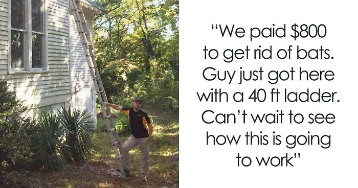 Guy Pays $800 To Get 40+ Bats Out Of His Attic, Doesn't Expect Contractors To Do This