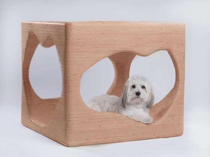 Architects Around The World Design Unique Dog Houses And It's For A Good Cause