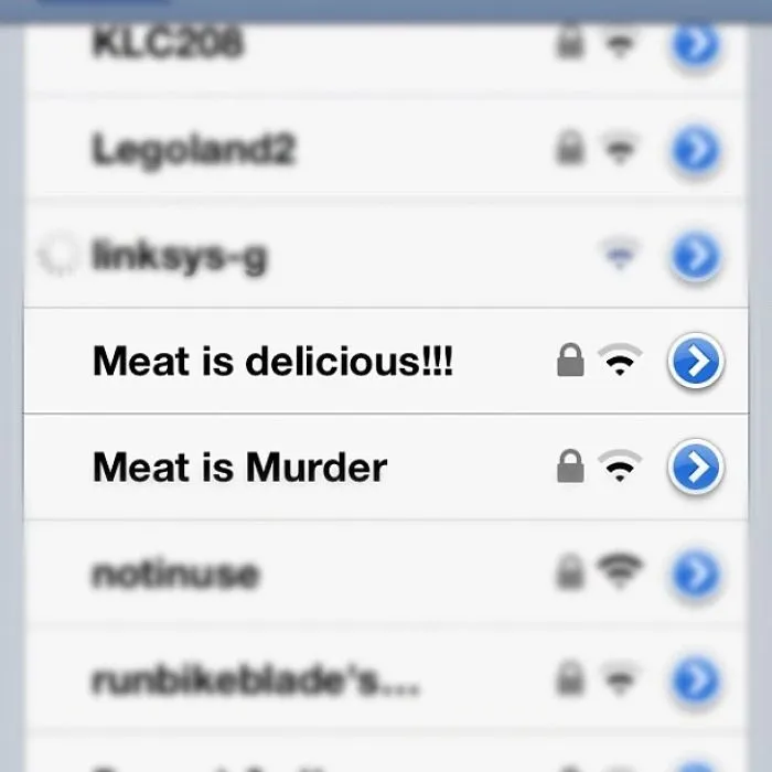 5+ Of The Funniest Wi-If Names