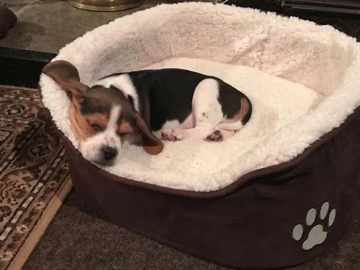 First Nap