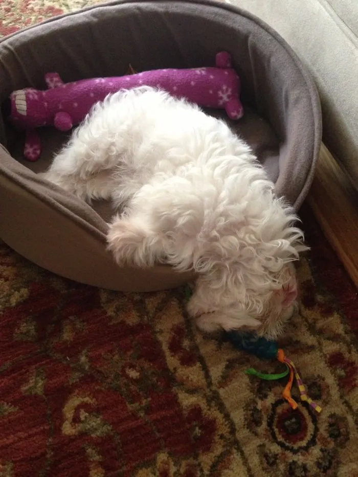 Play Hard, Sleep Harder