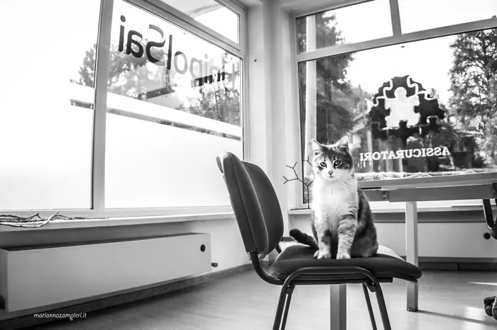 Rita At The Insurance Agency