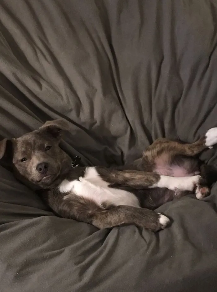 How You Doin’?