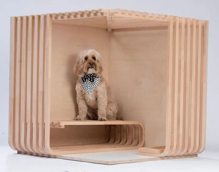 Architects Around The World Design Unique Dog Houses And It's For A Good Cause