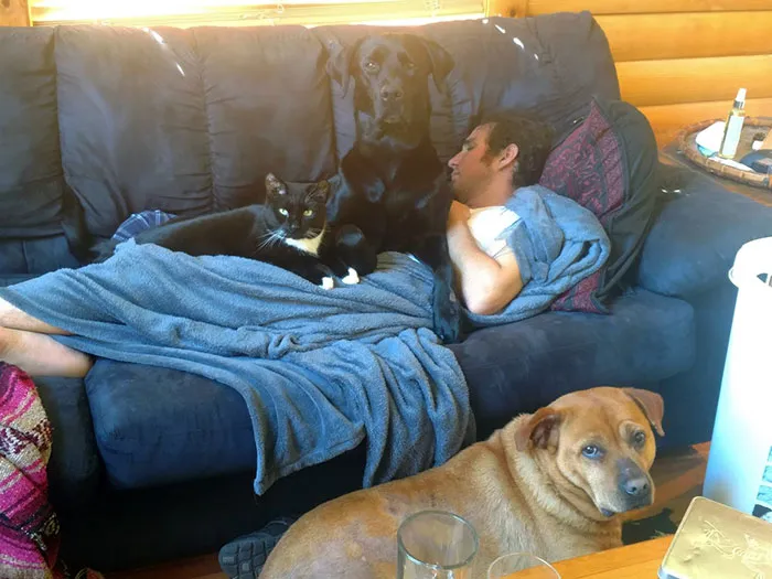 He Wasn't Feeling Well And Everyone Wanted To Help!