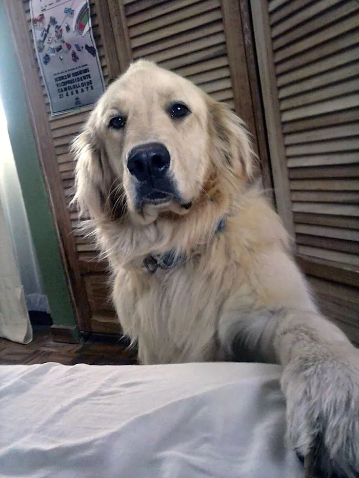 Mi hermana está enferma en la cama y se ha despertado así