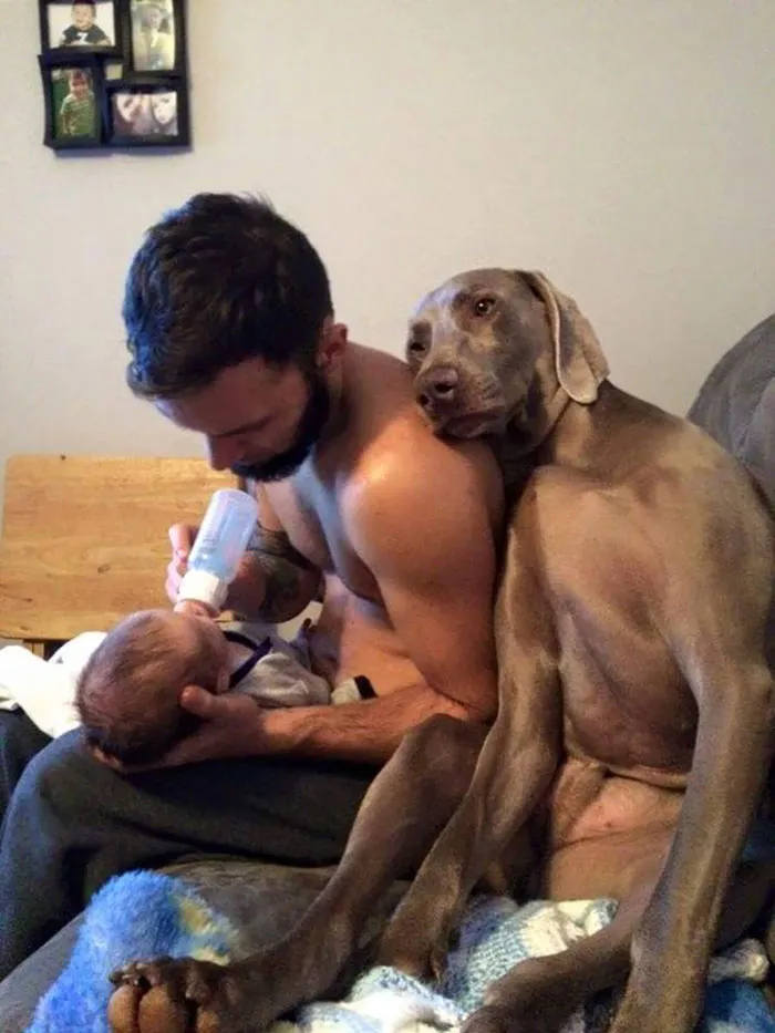 This Loving Doggo