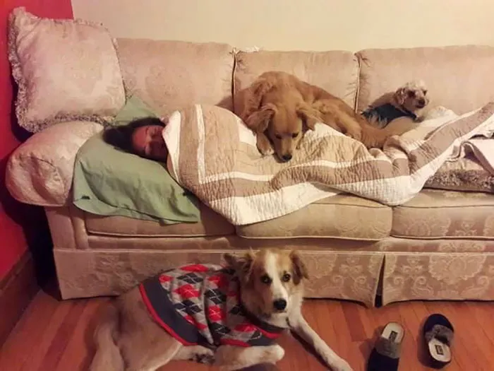 My Dogs Wouldn't Leave My Mom's Side When She Was Sick. They Were Protecting The Weakest Member Of Their Pack And Making Sure She Stayed Warm