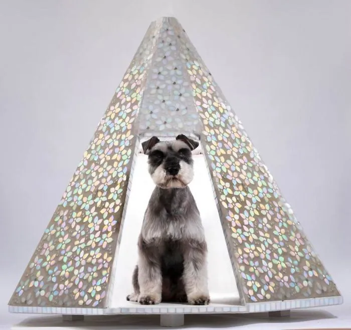 Architects Around The World Design Unique Dog Houses And It's For A Good Cause
