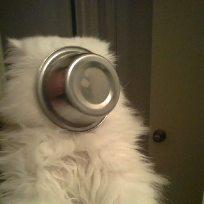 He Got Himself Stuck