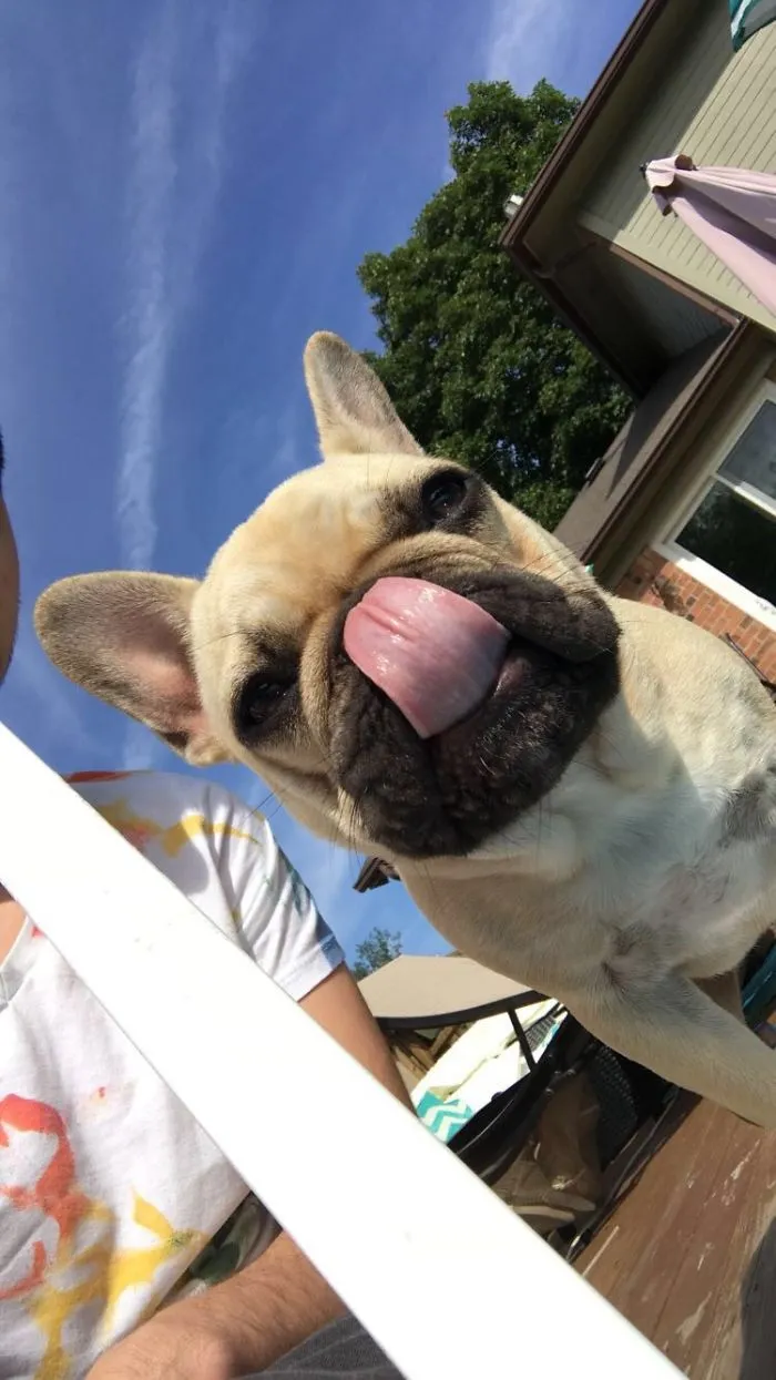 Is There Something On My Nose?