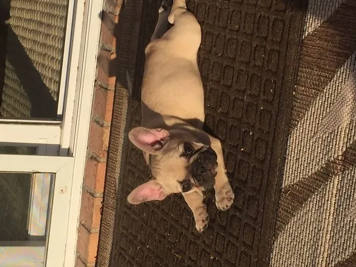 Getting Warm In The Sun