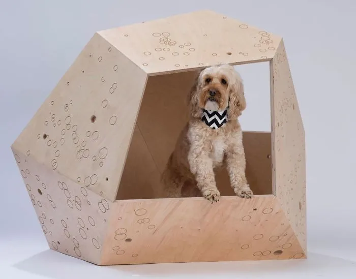 Architects Around The World Design Unique Dog Houses And It's For A Good Cause