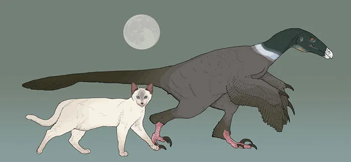 Balaur Bondoc Lived In Late Cretaceous Romania. It Was Interpreted As A Strange, “Double-Sickle-Clawed” Relative Of Velociraptor Or Deinonychus, But It Is Now Thought To Be A Unique Relative Of Early Birds