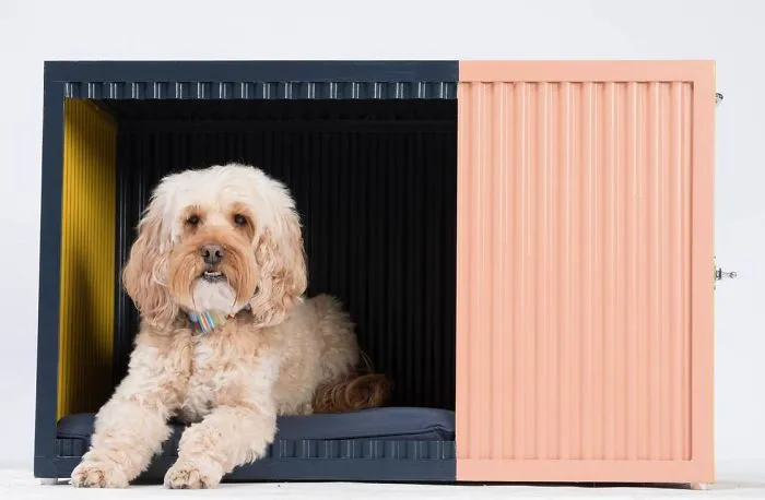 Architects Around The World Design Unique Dog Houses And It's For A Good Cause