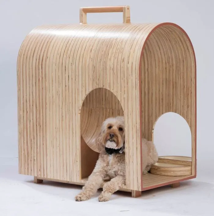 Architects Around The World Design Unique Dog Houses And It's For A Good Cause