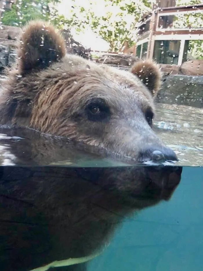 What Are You Looking At