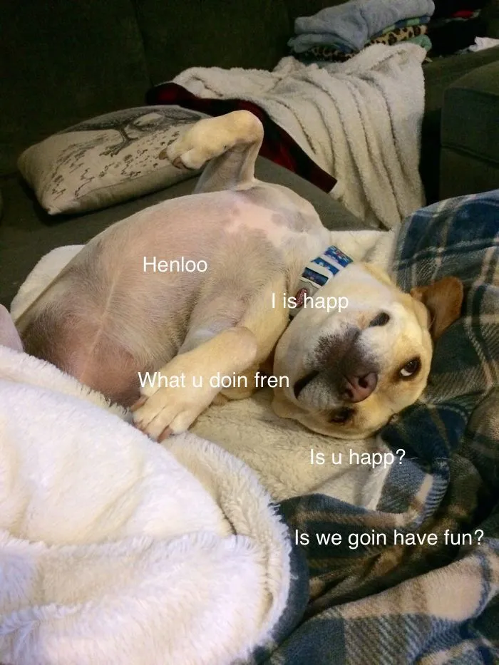 I Made These Pictures With The Sweet Dog Post And I Hope They'll Brighten Your Day