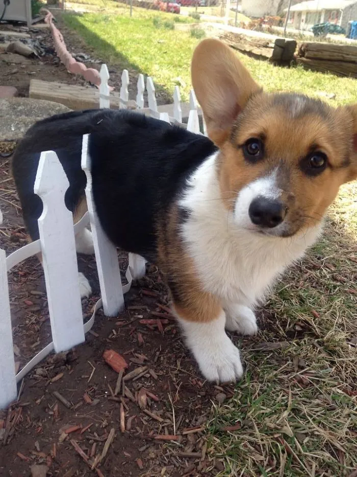 He Got Stuck