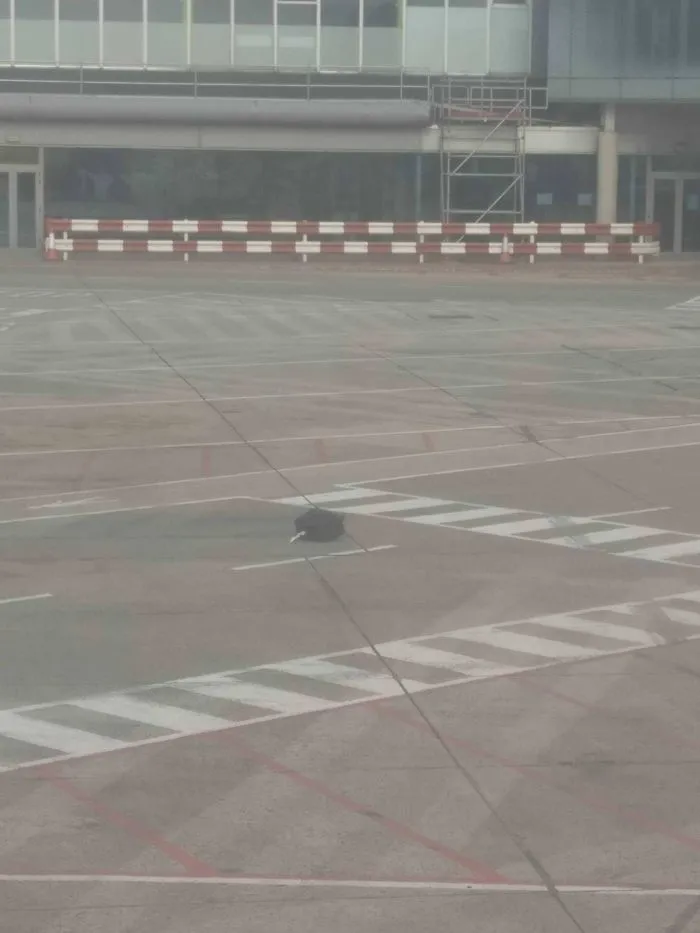 La maleta de alguien se ha caido de un trailer en el aeropuerto de Dublín