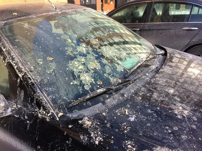 Es año nuevo y he despertado con vómito congelado caido de un balcón sobre mi coche y una rueda pinchada