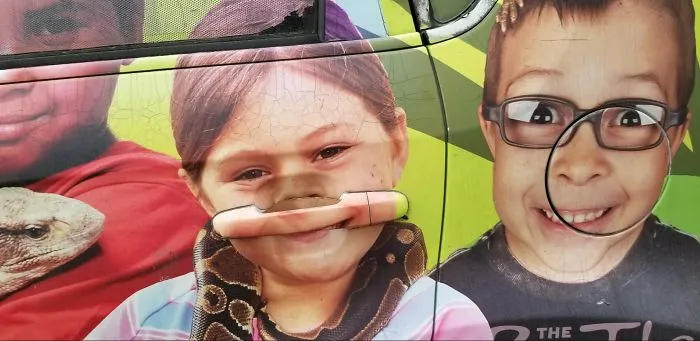 Why