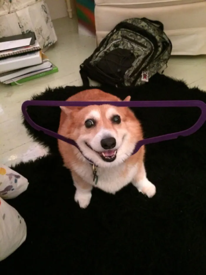 Hooman Pls Halp I Am Stucc