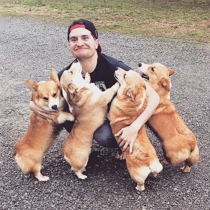 Fuimos a un criadero de corgis a por nuestro nuevo cachorro y este fue el recibimiento