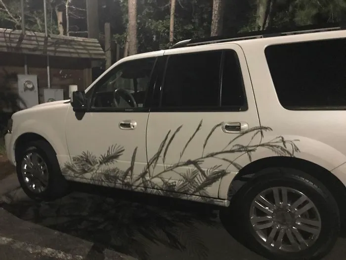 La sombra de las plantas parece una decoración del vehículo