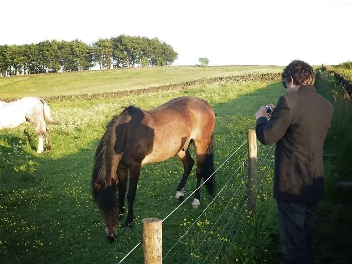 Mi amigo me hizo una foto mientras retrataba a un caballo. Mi sombra tiene patas de caballo