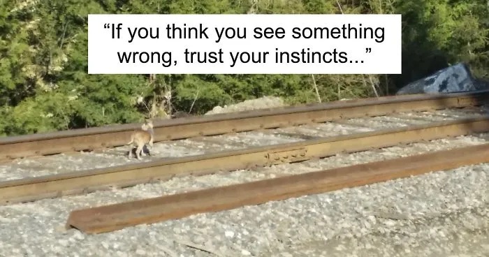 "If You Think You See Something Wrong, Trust Your Instincts"