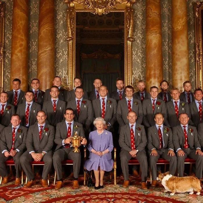 This Corgi Gives Zero Fucks About Pomp And Circumstance