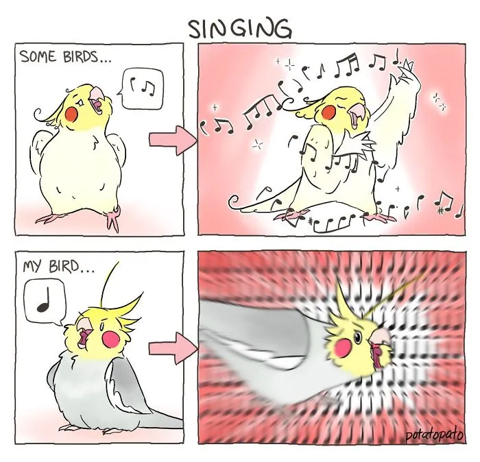 He's Doing His Best
