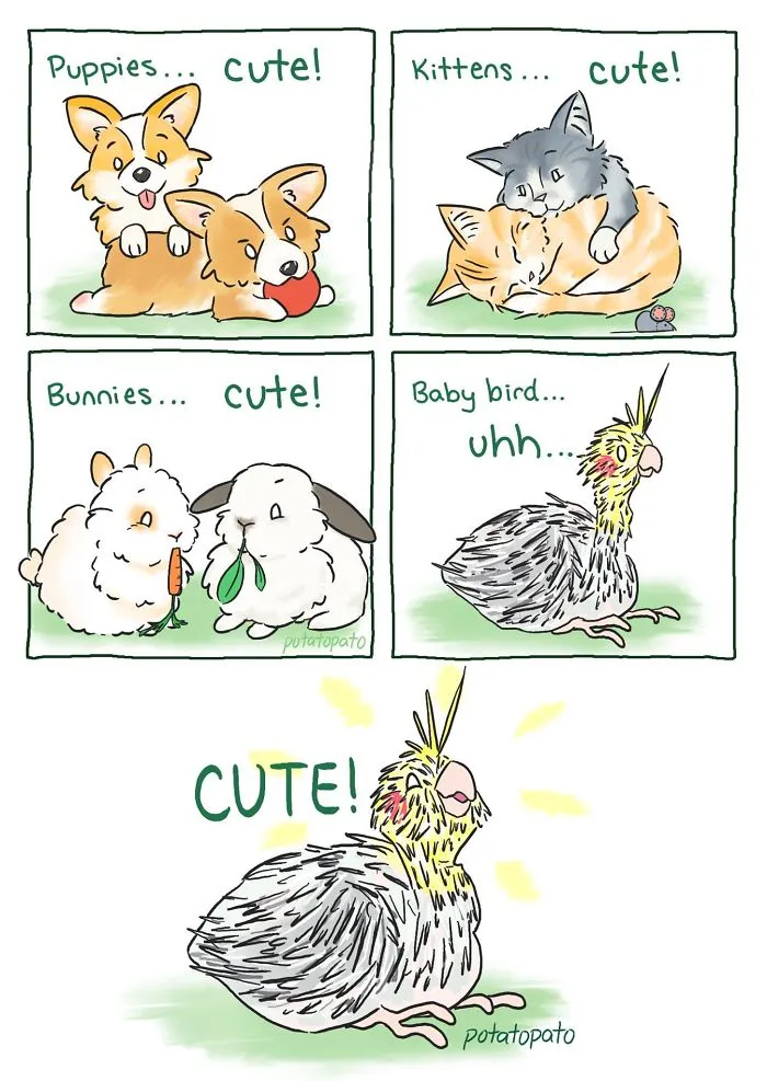 Prickly Little Dinosaur ~