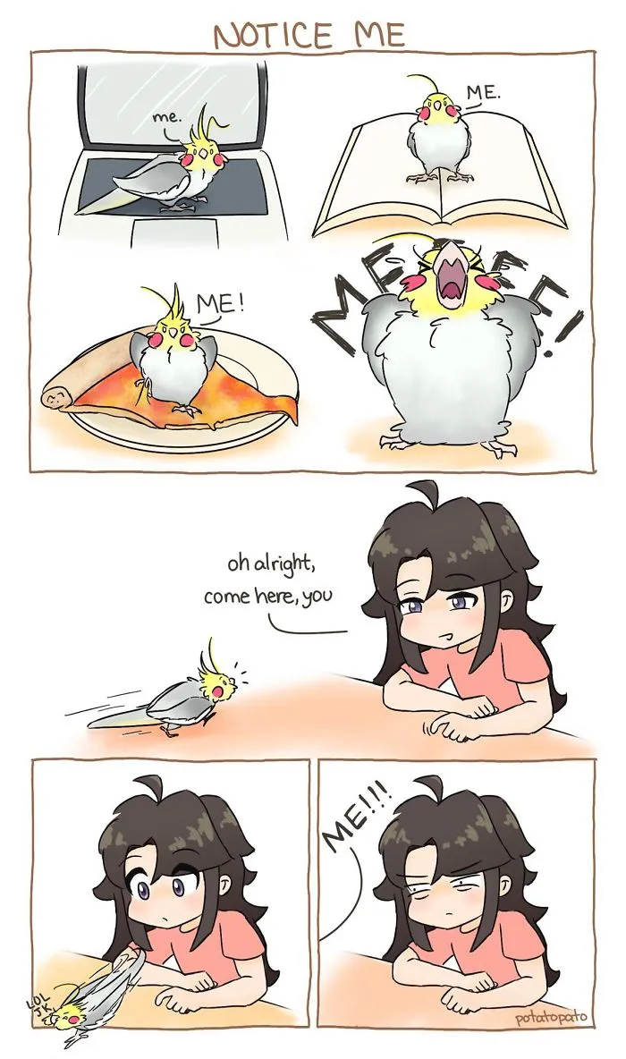 What Do You Want