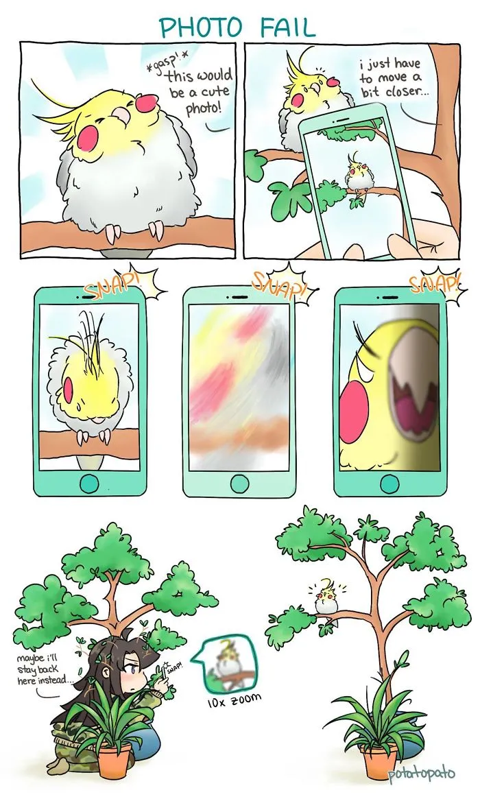 Domestic Bird Photography At Its Finest
