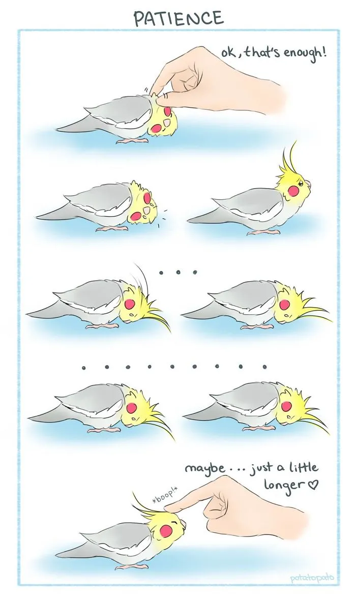 Scritches Come To Those Who Wait