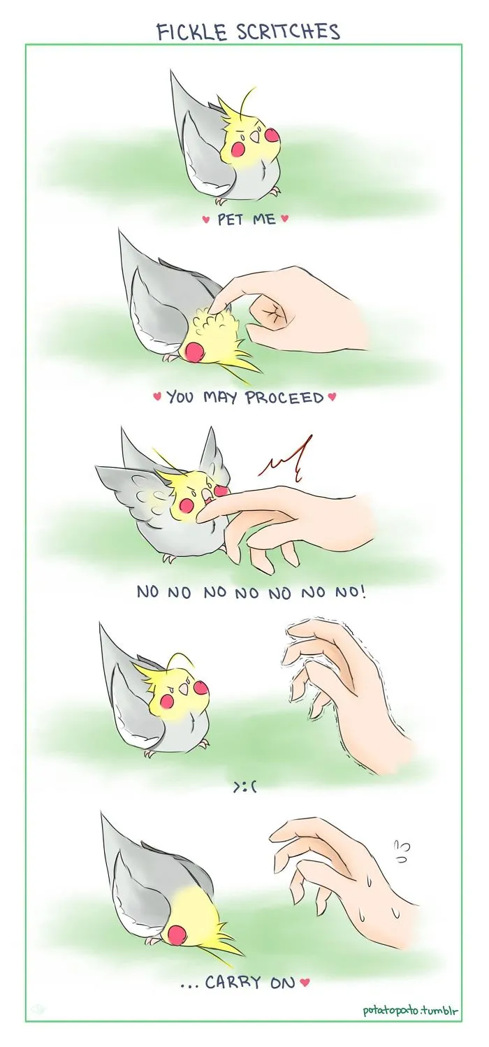 Sometimes I Feel Like Birds Are Just Little Feathered Cats