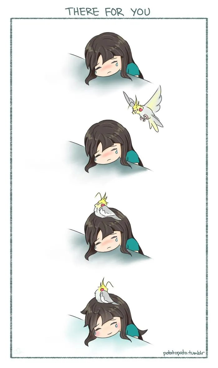 Sometimes A Little Feather, Makes Everything Better
