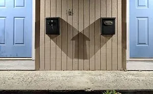 50 Perfectly Timed Pics That Will Make You Look Twice