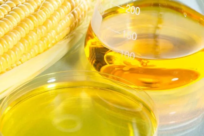 Cancer Causing Foods And Ingredients For Dogs That You Must Avoid
