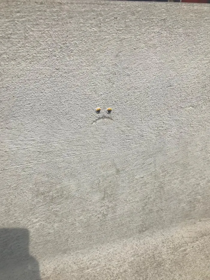 We Googly-Eyed Milan
