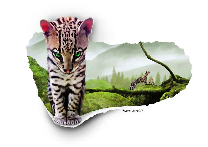 9 Illustrations Of Animals With Funny Expressions