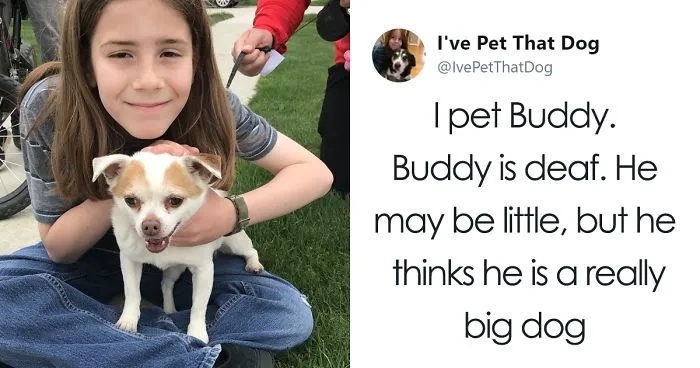 The Internet Is Obsessed With This 9-Year-Old's Twitter Account Where He Reviews All The Dogs That He's Petted
