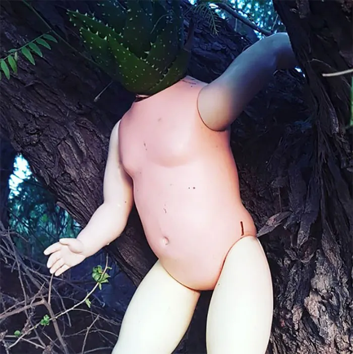 145 People Who Turned Old Dolls Into Planters And Scared The Hell Out Of Their Neighbors