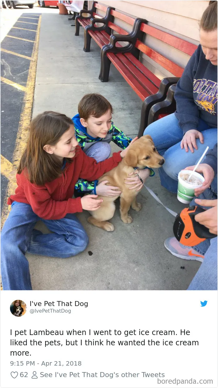 The Internet Is Obsessed With This 9-Year-Old's Twitter Account Where He Reviews All The Dogs That He's Petted